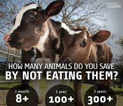 Veganism-and-Animals